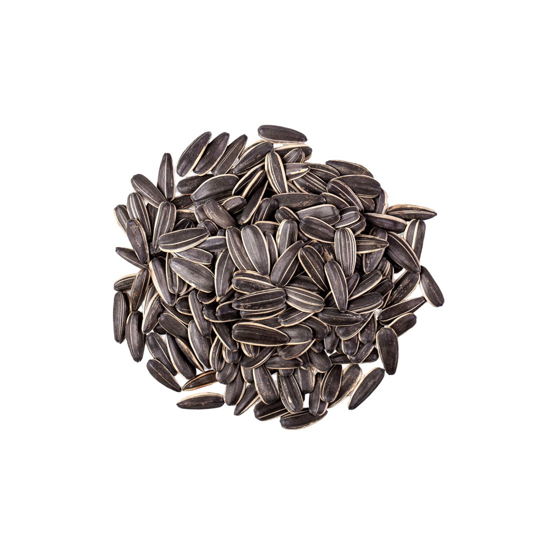 İRİ-SİYAH-ÇEKİRDEK-(TUZSUZ) İRİ SİYAH ÇEKİRDEK (TUZSUZ) - Görsel 1